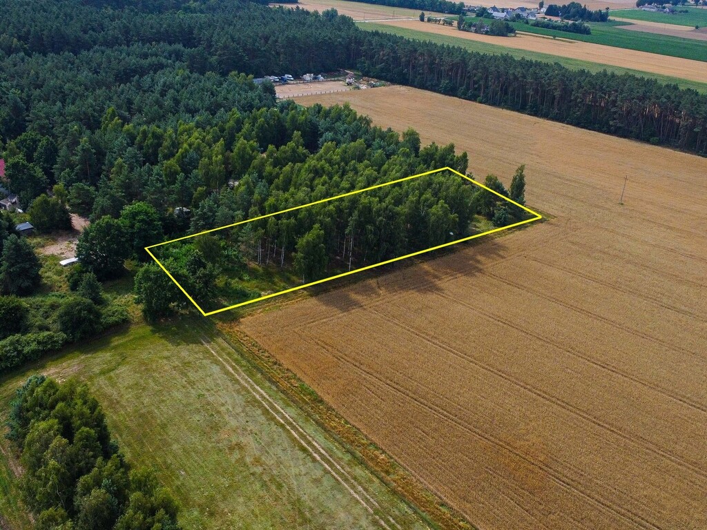 Oaza spokoju – działka z drzewami w Łaziskach