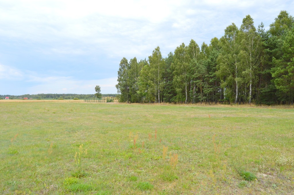 Twoje Miejsce Na Wypoczynek – Jezioro I Piękny Las