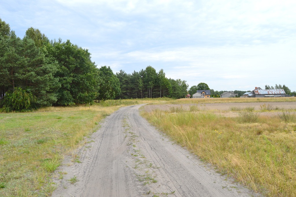 Twoje Miejsce Na Wypoczynek – Jezioro I Piękny Las