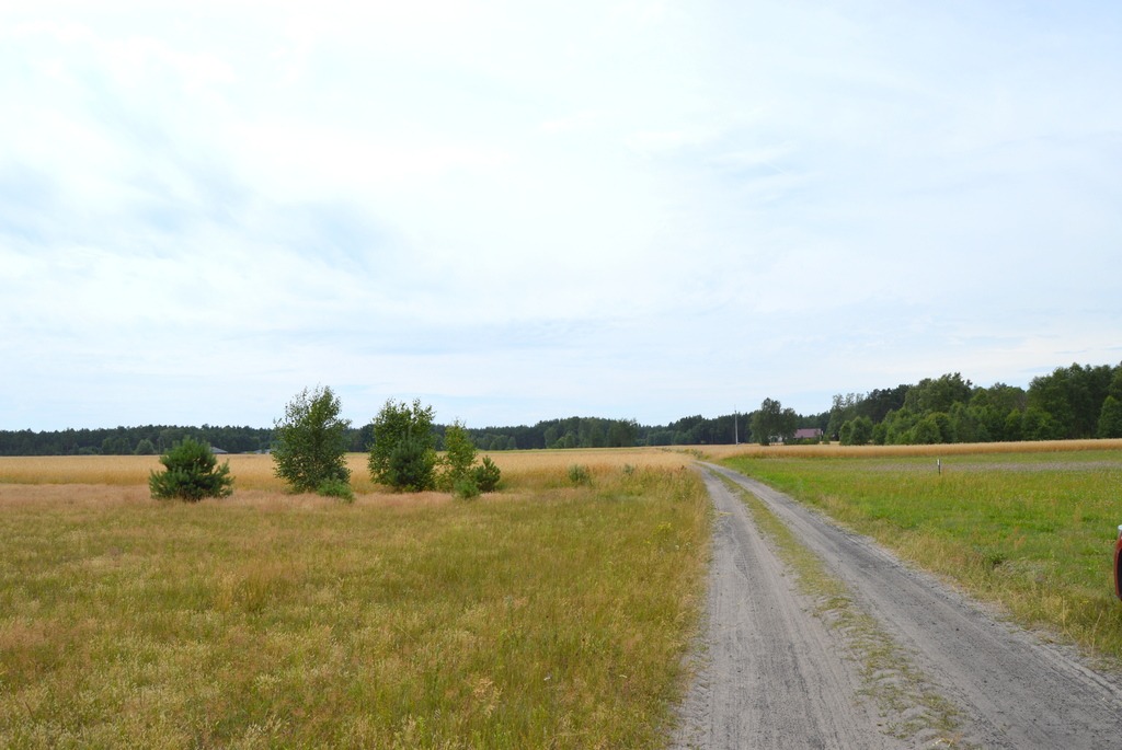 Twoje Miejsce Na Wypoczynek – Jezioro I Piękny Las